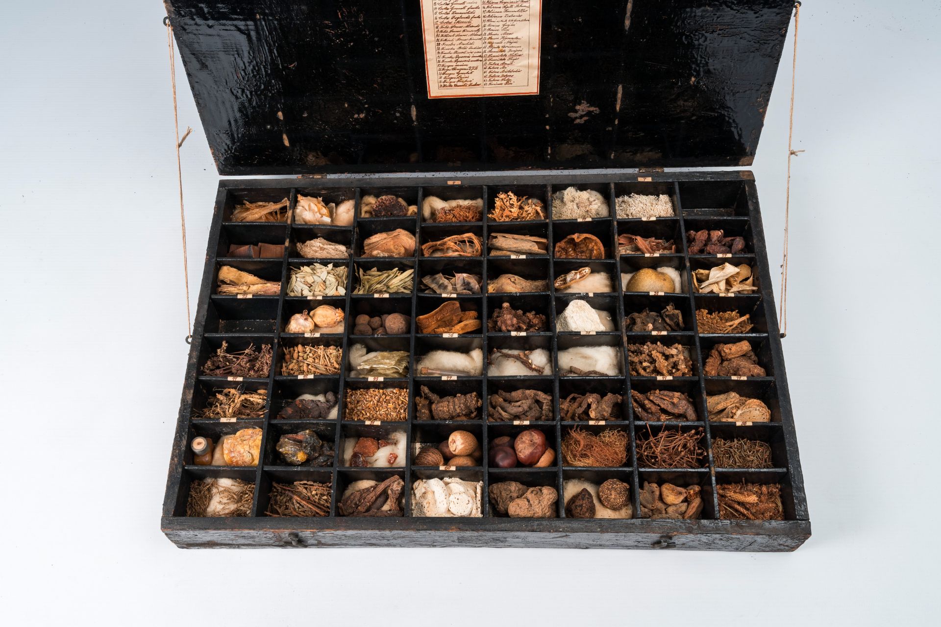 An extensive natural history collection with various types of wood, seeds, fruits, plant remains, mi - Bild 6 aus 34