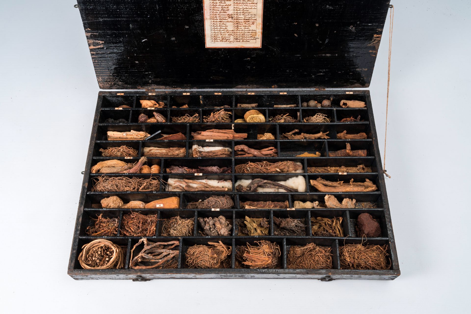 An extensive natural history collection with various types of wood, seeds, fruits, plant remains, mi - Bild 8 aus 34