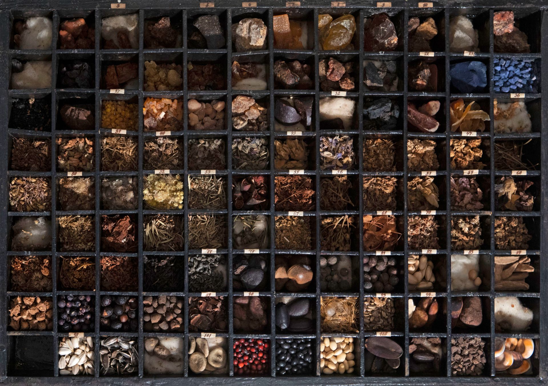 An extensive natural history collection with various types of wood, seeds, fruits, plant remains, mi - Bild 27 aus 34