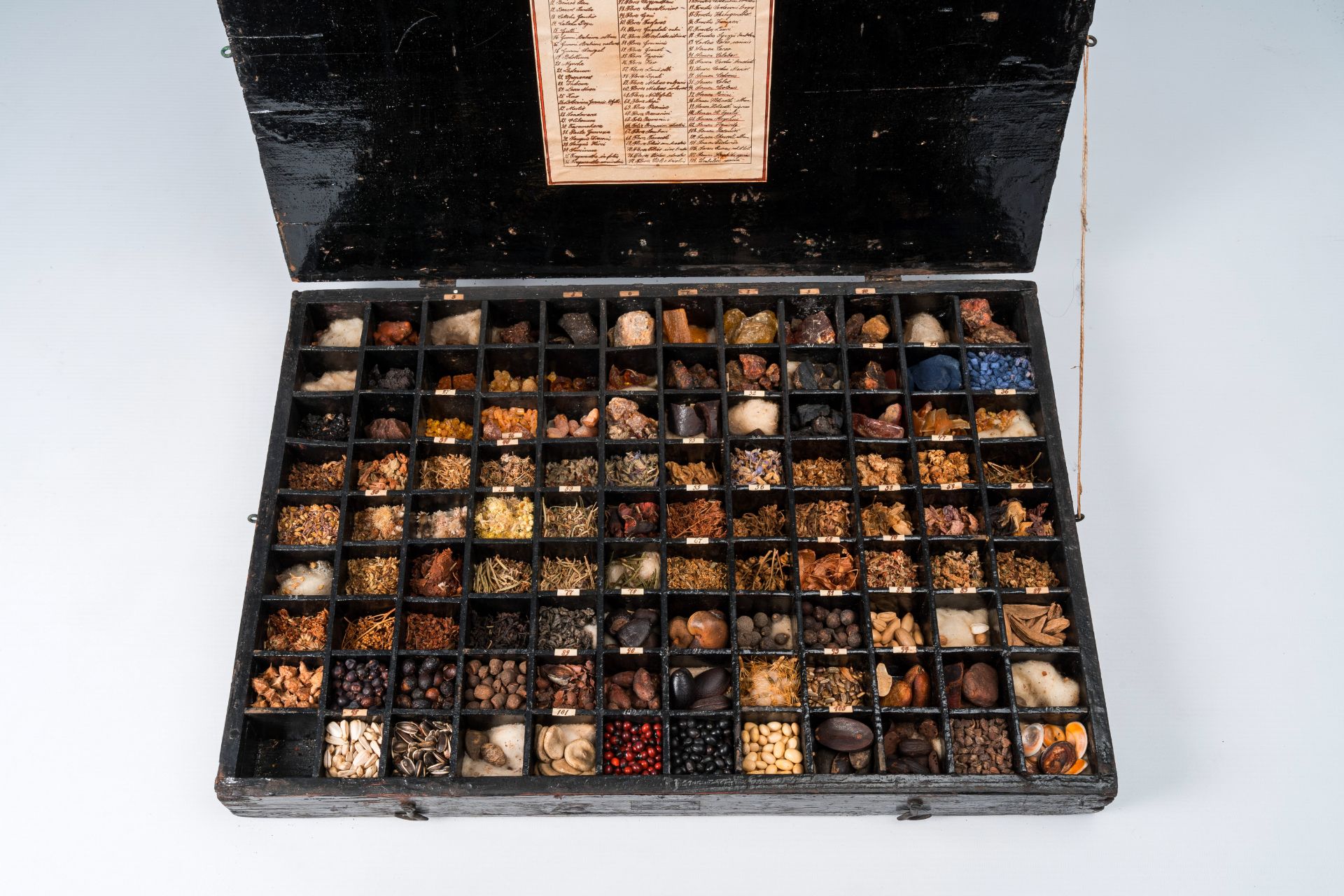An extensive natural history collection with various types of wood, seeds, fruits, plant remains, mi - Bild 2 aus 34