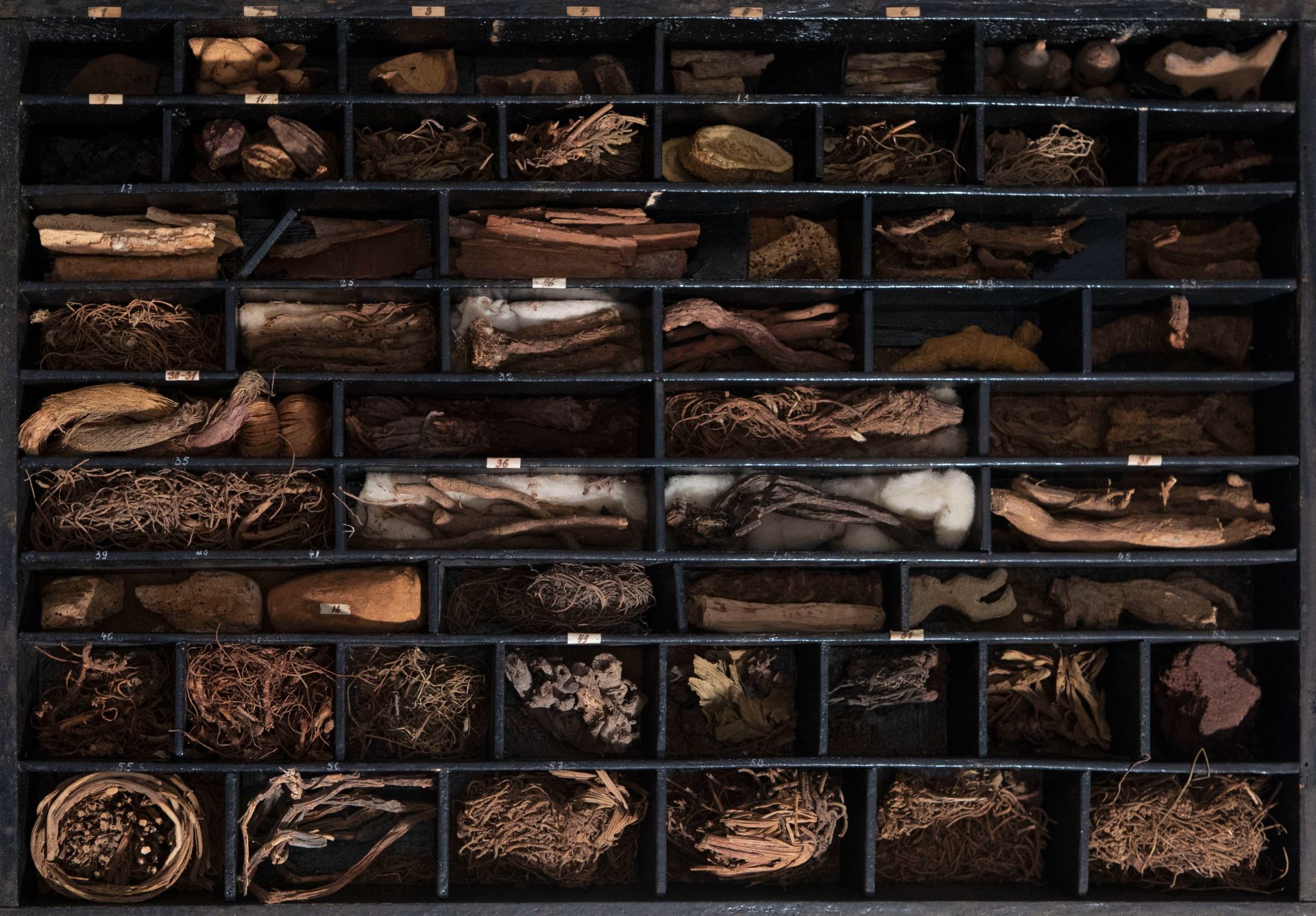 An extensive natural history collection with various types of wood, seeds, fruits, plant remains, mi - Bild 18 aus 34