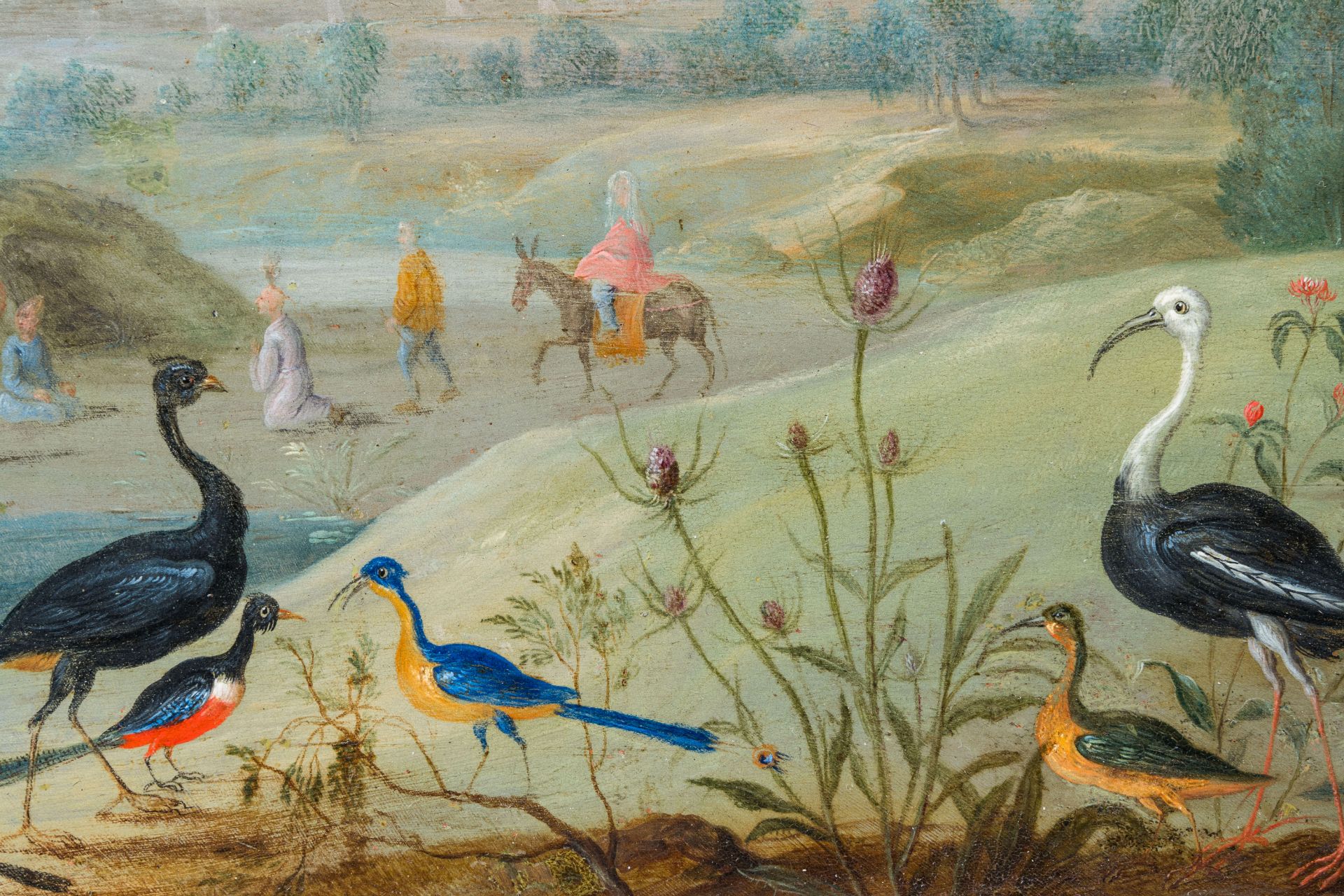 Jan van Kessel (1626-1679): Exotic birds in an oriental landscape, oil on copper - Image 9 of 14