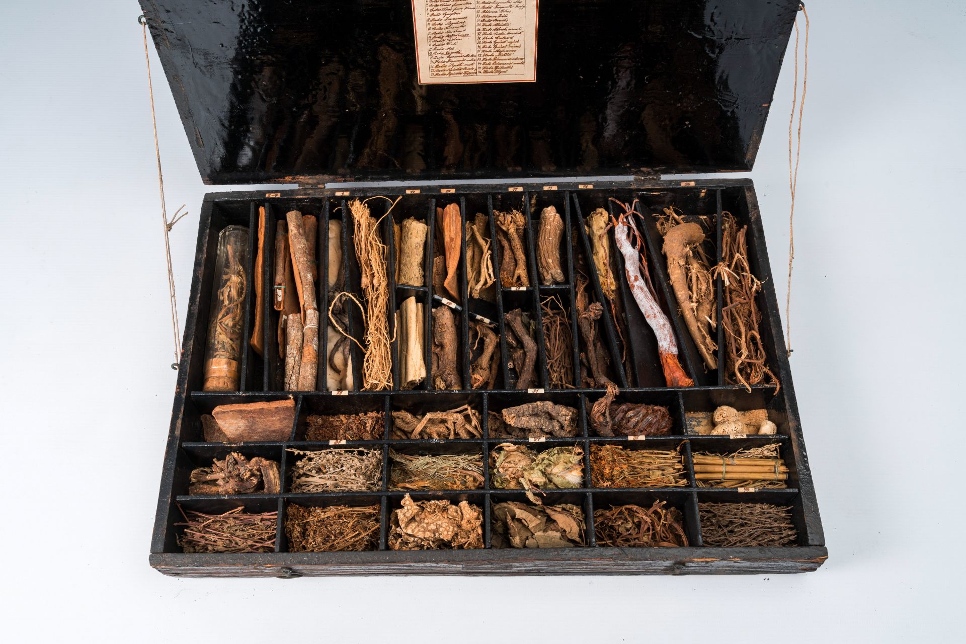 An extensive natural history collection with various types of wood, seeds, fruits, plant remains, mi - Bild 5 aus 34