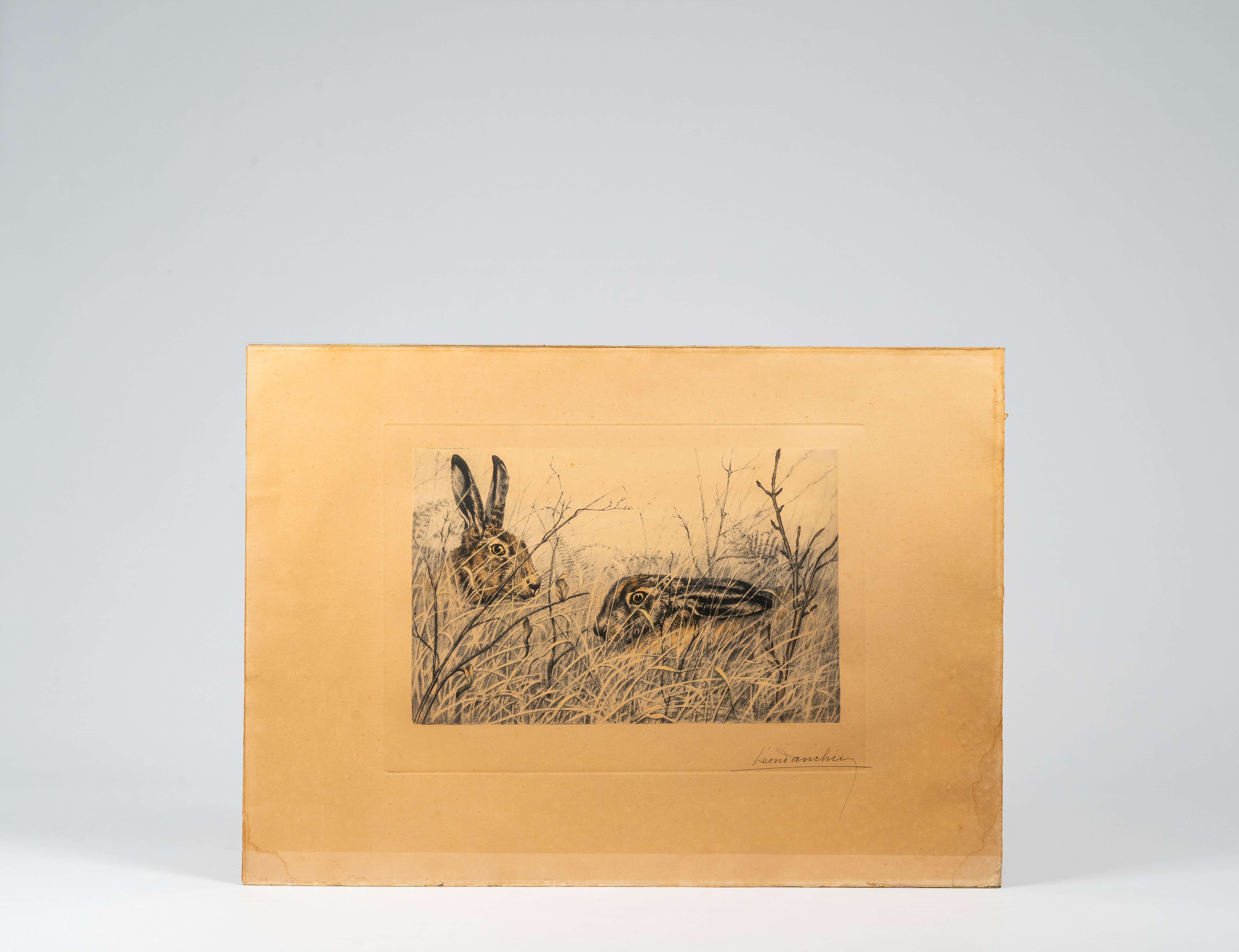 LÃ©on Danchin (1887-1938): Four graphic works with animals - Image 17 of 19