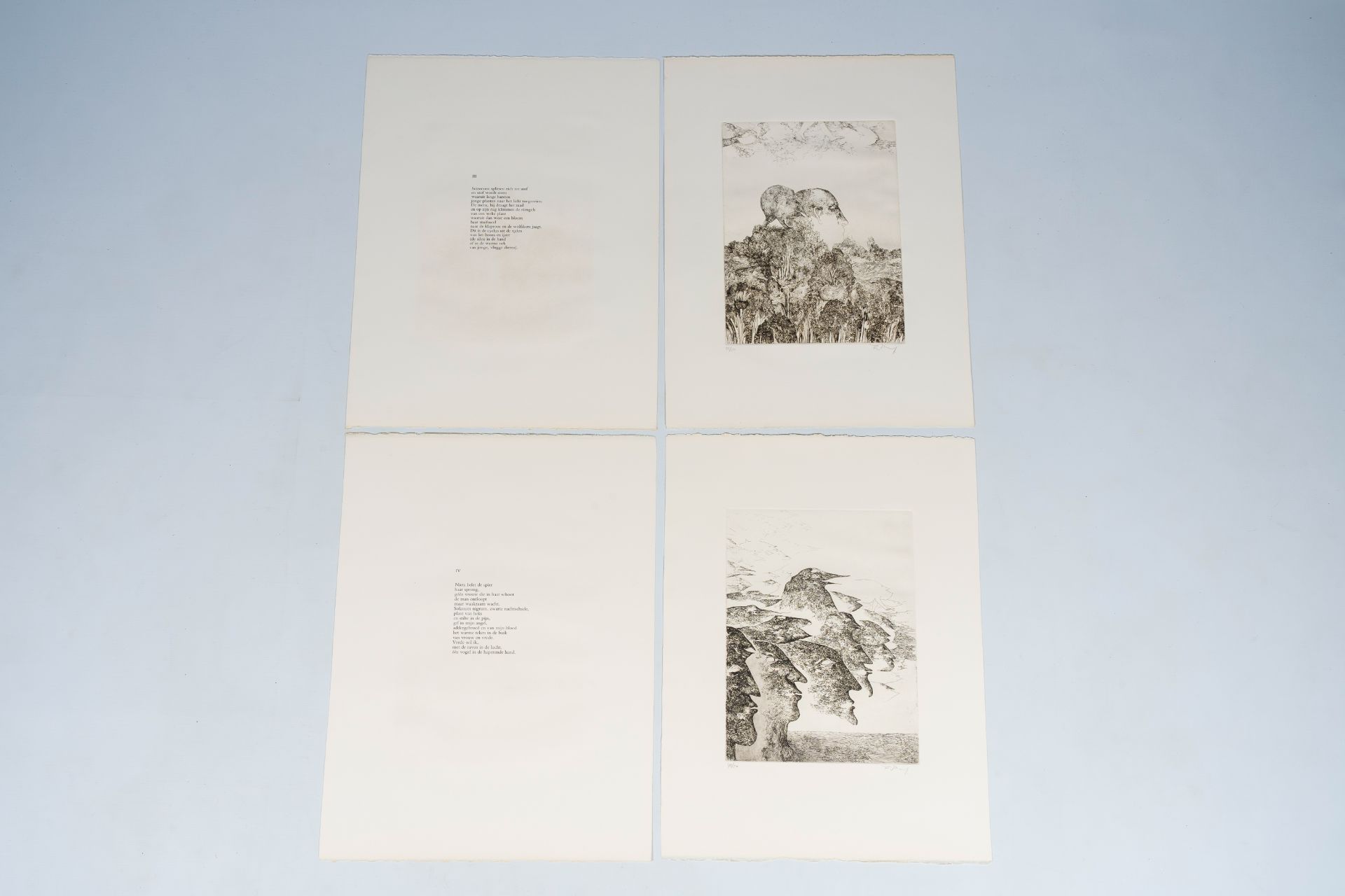 Frans Minnaert (1929-2011): 'Met Darwin op de Beagle', art folder with five etchings and five poems - Image 28 of 32