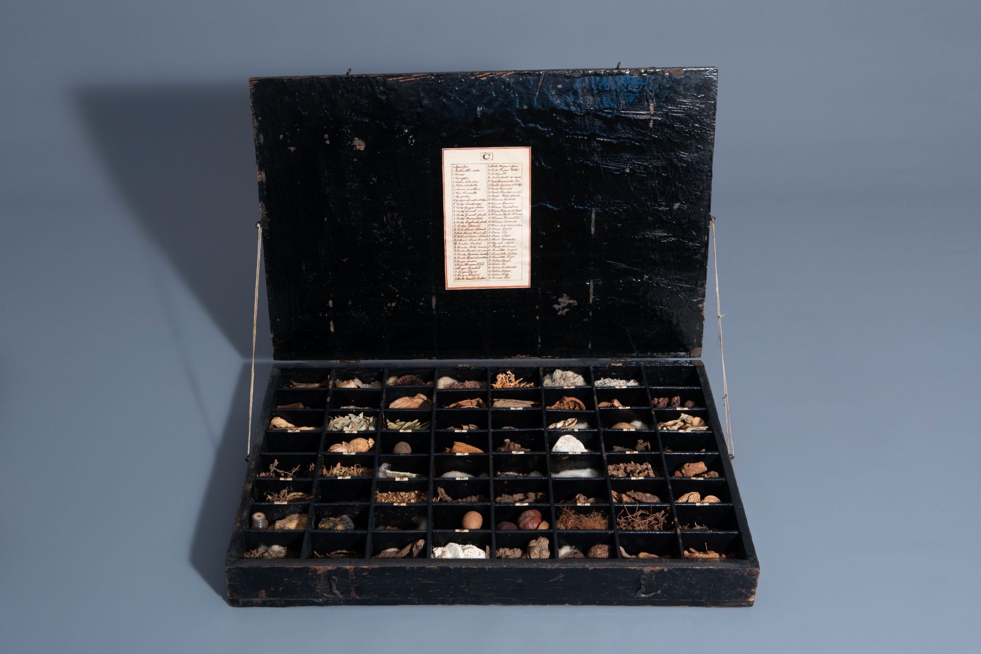 An extensive natural history collection with various types of wood, seeds, fruits, plant remains, mi - Bild 22 aus 34