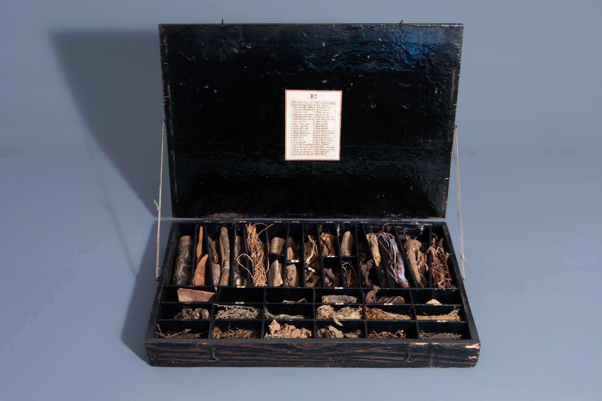 An extensive natural history collection with various types of wood, seeds, fruits, plant remains, mi - Bild 13 aus 34