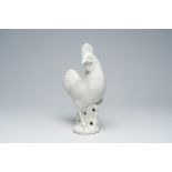 A large Chinese blanc de chine model of a rooster, 19th C.