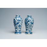 Two Chinese blue and white vases with birds and butterflies among blossoming branches, Kangxi mark,