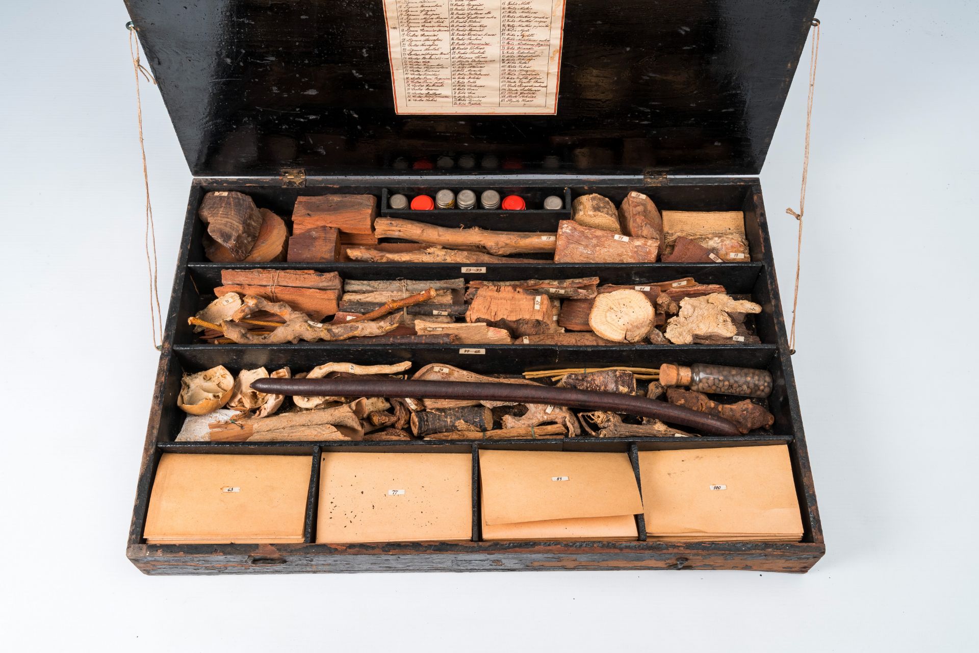 An extensive natural history collection with various types of wood, seeds, fruits, plant remains, mi - Bild 4 aus 34