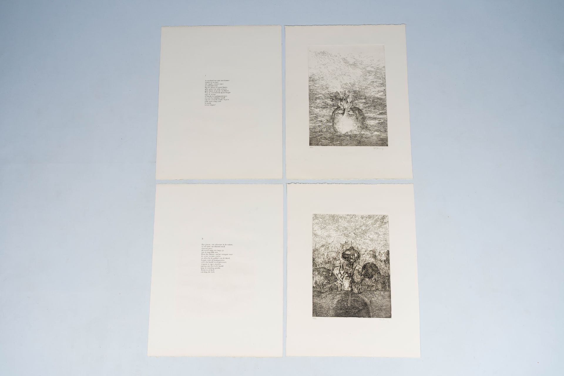 Frans Minnaert (1929-2011): 'Met Darwin op de Beagle', art folder with five etchings and five poems - Image 23 of 32