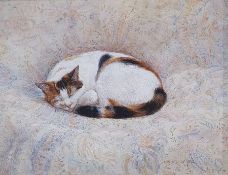 Mary Carter Oil on board "The Tortoiseshell Cat", signed lower right and dated 1992, 11.5cm x