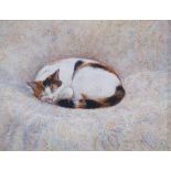 Mary Carter Oil on board "The Tortoiseshell Cat", signed lower right and dated 1992, 11.5cm x