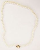 Single row of graduated cultured pearls with pearl set gold clasp marked K14, approx. 69cm long