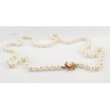 Cultured pearl necklace with 14K gold ropetwist pattern and single pearl set clasp, 68cm long, 7mm