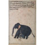 Possibly 19th or 20th century Indian school Watercolour  Elephant with calf, script above, 24cm x