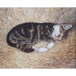 Mary Carter Oil on board "The Kitten", signed lower right and dated 1991, 8.5cm x 10.5cm and