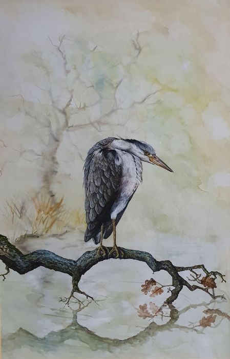 David Capewell (20th century) Watercolour Heron on branch, signed and dated '83 lower, 65cm x 42.5cm