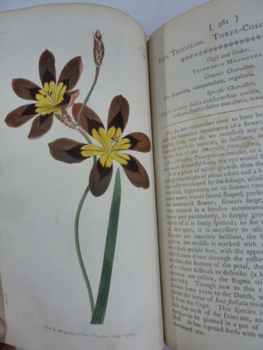 Curtis "The Botanical Magazine; or Flower-Garden Displayed ...", vol 11 and 12, London printed by - Image 8 of 11