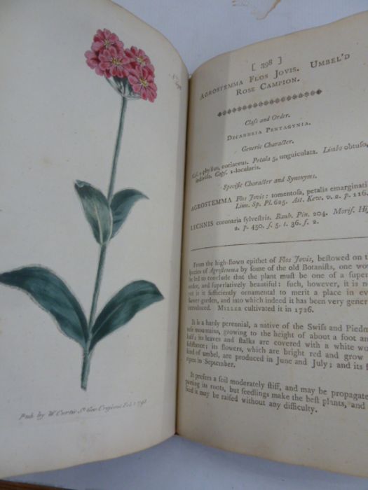 Curtis "The Botanical Magazine; or Flower-Garden Displayed ...", vol 11 and 12, London printed by - Image 5 of 11