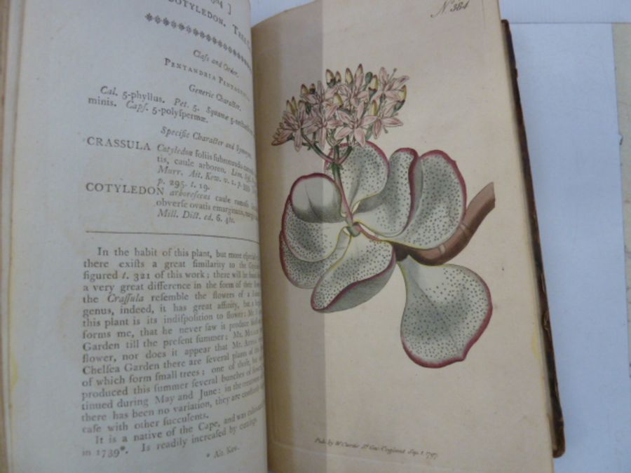 Curtis "The Botanical Magazine; or Flower-Garden Displayed ...", vol 11 and 12, London printed by - Image 7 of 11