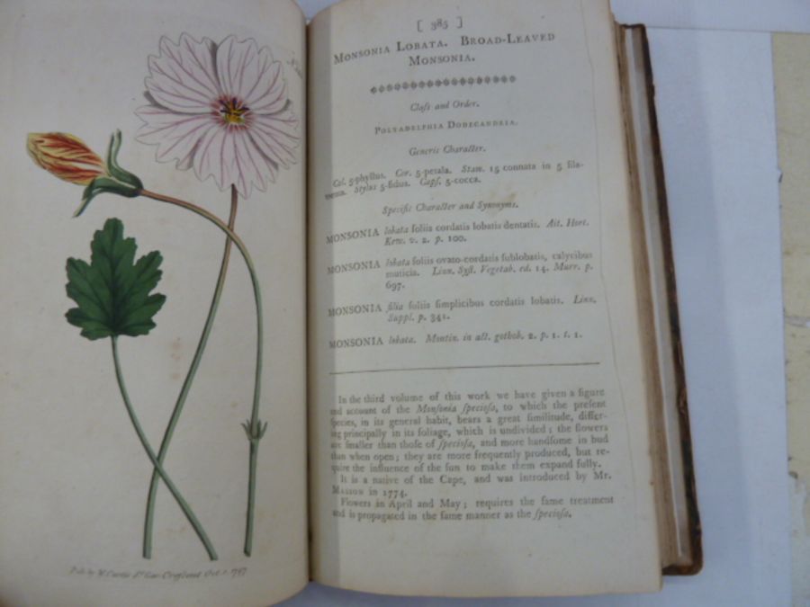 Curtis "The Botanical Magazine; or Flower-Garden Displayed ...", vol 11 and 12, London printed by - Image 6 of 11