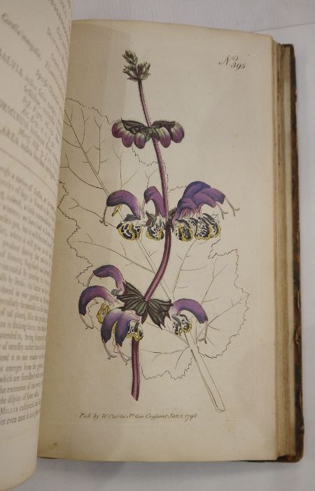 Curtis "The Botanical Magazine; or Flower-Garden Displayed ...", vol 11 and 12, London printed by - Image 3 of 11