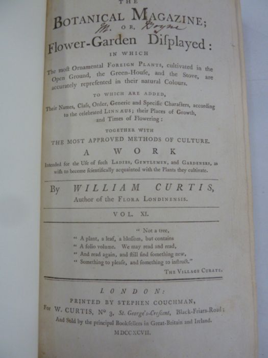 Curtis "The Botanical Magazine; or Flower-Garden Displayed ...", vol 11 and 12, London printed by - Image 4 of 11