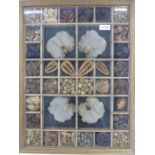 Framed collection of dried natural objects including seeds, pods and leaves