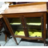 20th century mahogany glazed cabinet with two doors enclosing shelves, on square section supports,