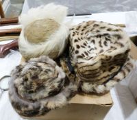 Edna Wallis leopard fur hat, a similar belt and a lady's 1920's feather hat (3)