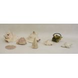Two conch shells and further assorted shells