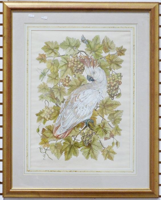 After Mary Gregory Limited edition colour print  Cockatoo, 2/100, signed lower right - Image 2 of 4