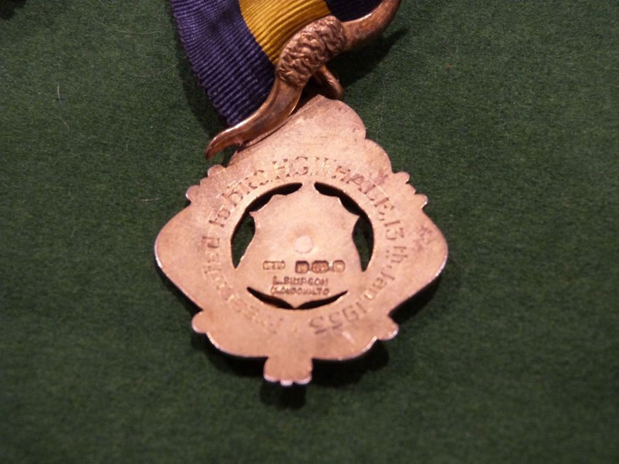 11 silver-gilt  and enamel masonic medals, a large gilt metal and enamel masonic medal attached to - Image 5 of 7