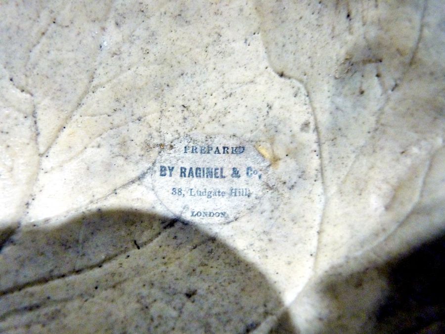 Part human skeletons, one skull part bearing label 'Prepared by Raginel & Co, London' , other skulls - Image 2 of 7