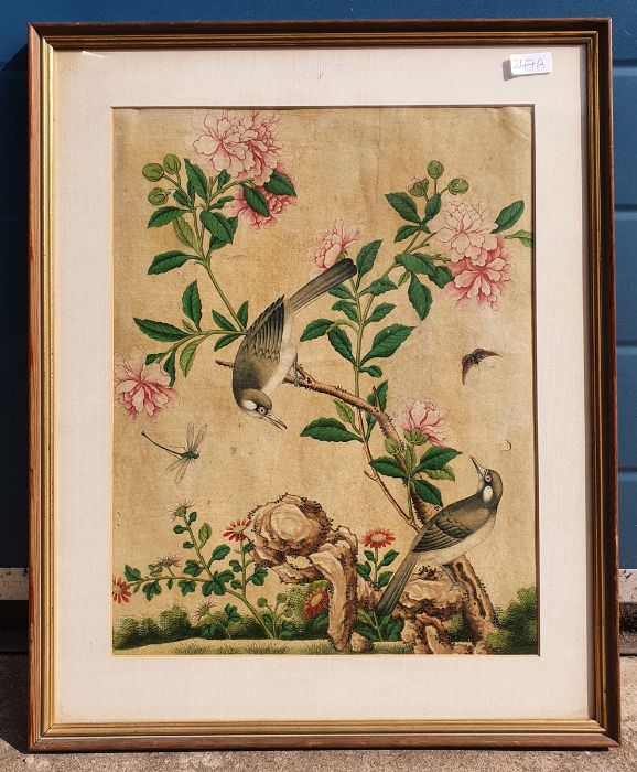 Late 19th century Chinese school,  Watercolour on vellum,  Birds on blossoming branch 34 x 35 cm - Image 2 of 2