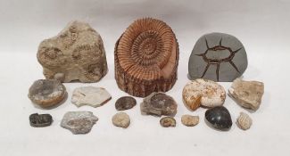 Assorted fossils to include ammonites, fish, devil's toenails (Gryphaea), shells, etc (1 box)