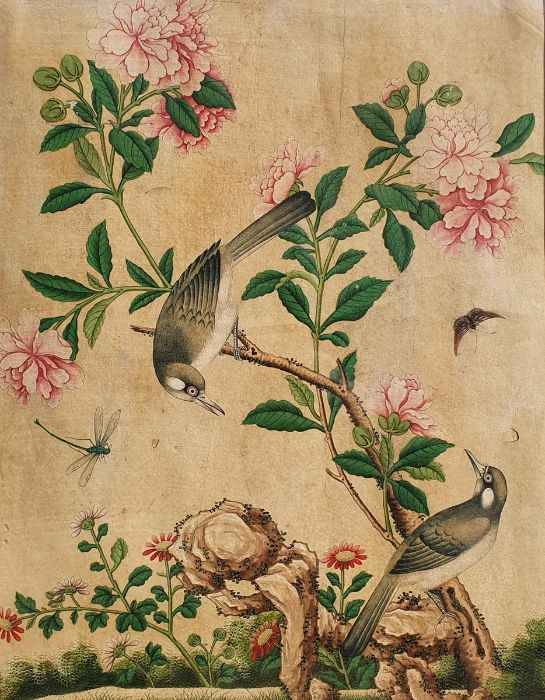 Late 19th century Chinese school,  Watercolour on vellum,  Birds on blossoming branch 34 x 35 cm