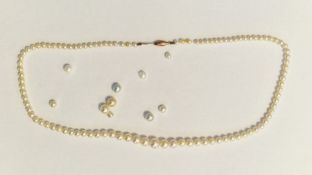 String of graduated cultured pearls with gold-coloured clasp and several loose pearls