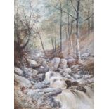 Thomas Creswick (19th century) Watercolour heightened in white Waterfalls, signed and dated lower