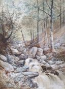 Thomas Creswick (19th century) Watercolour heightened in white Waterfalls, signed and dated lower