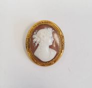 Antique gold-coloured metal cameo brooch, cameo head and shoulders of classical maiden within