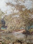 Alice E De Maine (19th century) Watercolour Tree by river, initialled lower, 27.5cm x 20cm