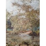 Alice E De Maine (19th century) Watercolour Tree by river, initialled lower, 27.5cm x 20cm