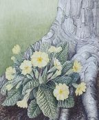Pauline Dean Watercolour Study of primroses, signed lower right (17 x 20 cm) Italian school