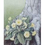 Pauline Dean Watercolour Study of primroses, signed lower right (17 x 20 cm) Italian school