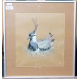 W Smith Gouache drawing,  signed and dated '75 together with John Cox, Birds in flight, picture (2)