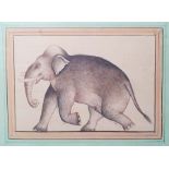 20th century Indian school Watercolour Indian elephant, unsigned, together with coloured engraving