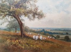 Alice Walter Watercolour "From Brallan Shill", landscape with sheep on a hillside, unsigned, bears