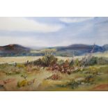 Pat Yallup Watercolour drawing Moorland scene with foxgloves and wild flowers, mountains in